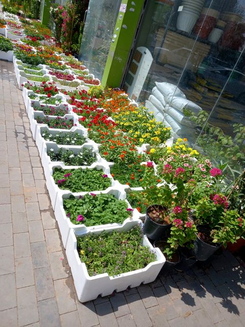 Nursery entrance