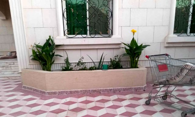 Villa entrance planter
