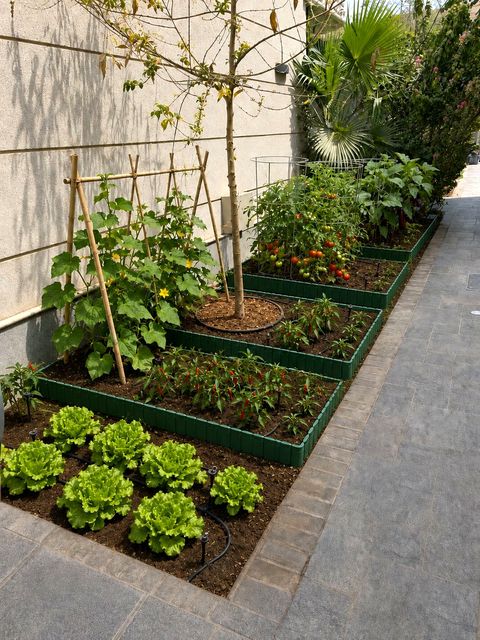 Home vegetable garden beds