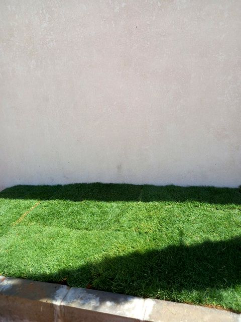 Natural Turf - Outdoor Trees & Shrubs in Riyadh