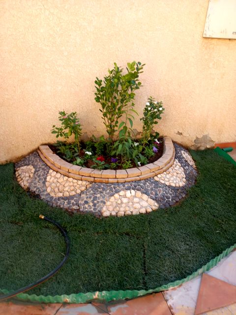 Round pebble planter with shrubs