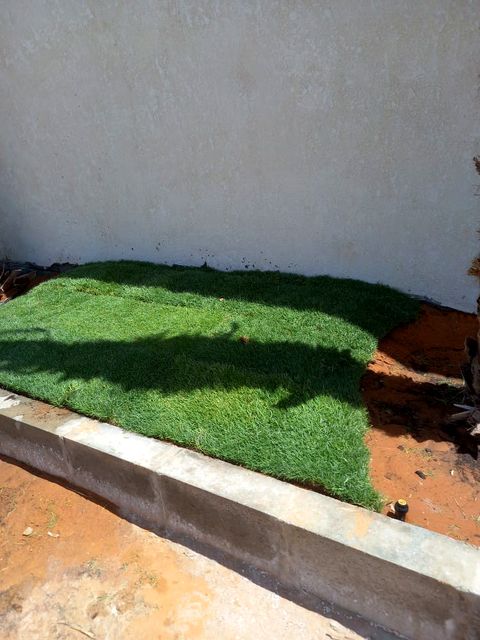 Natural lawn installation